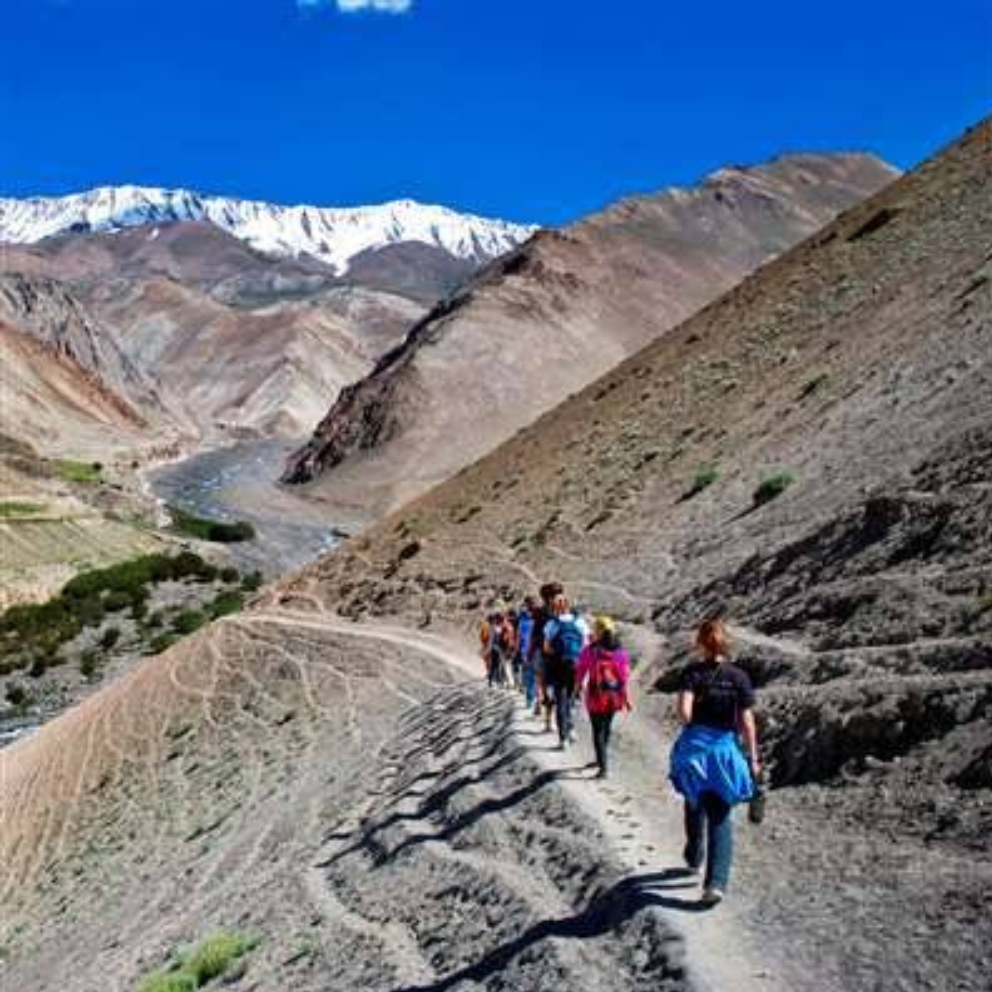 Group Tours